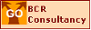 logo_bcr_consultancy